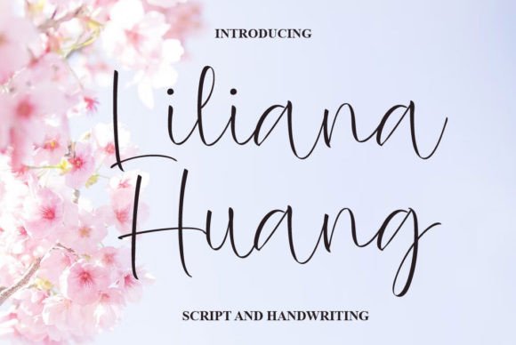 Liliana Huang Font Review for Web Design